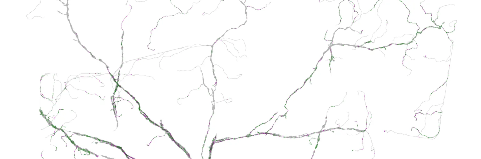 WideFieldTraced